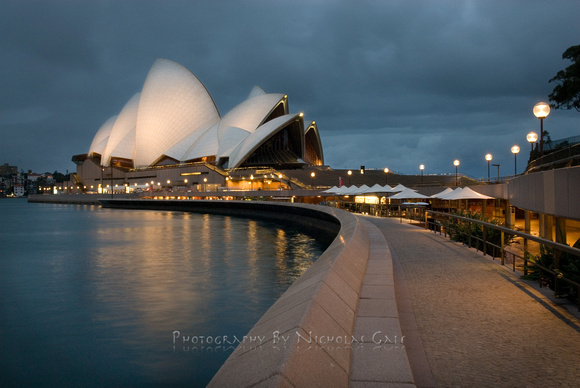 Sydney Opera  rainy Dawn NWG7529