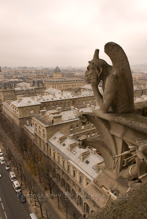 Notre Dame, Paris_NWG3905
